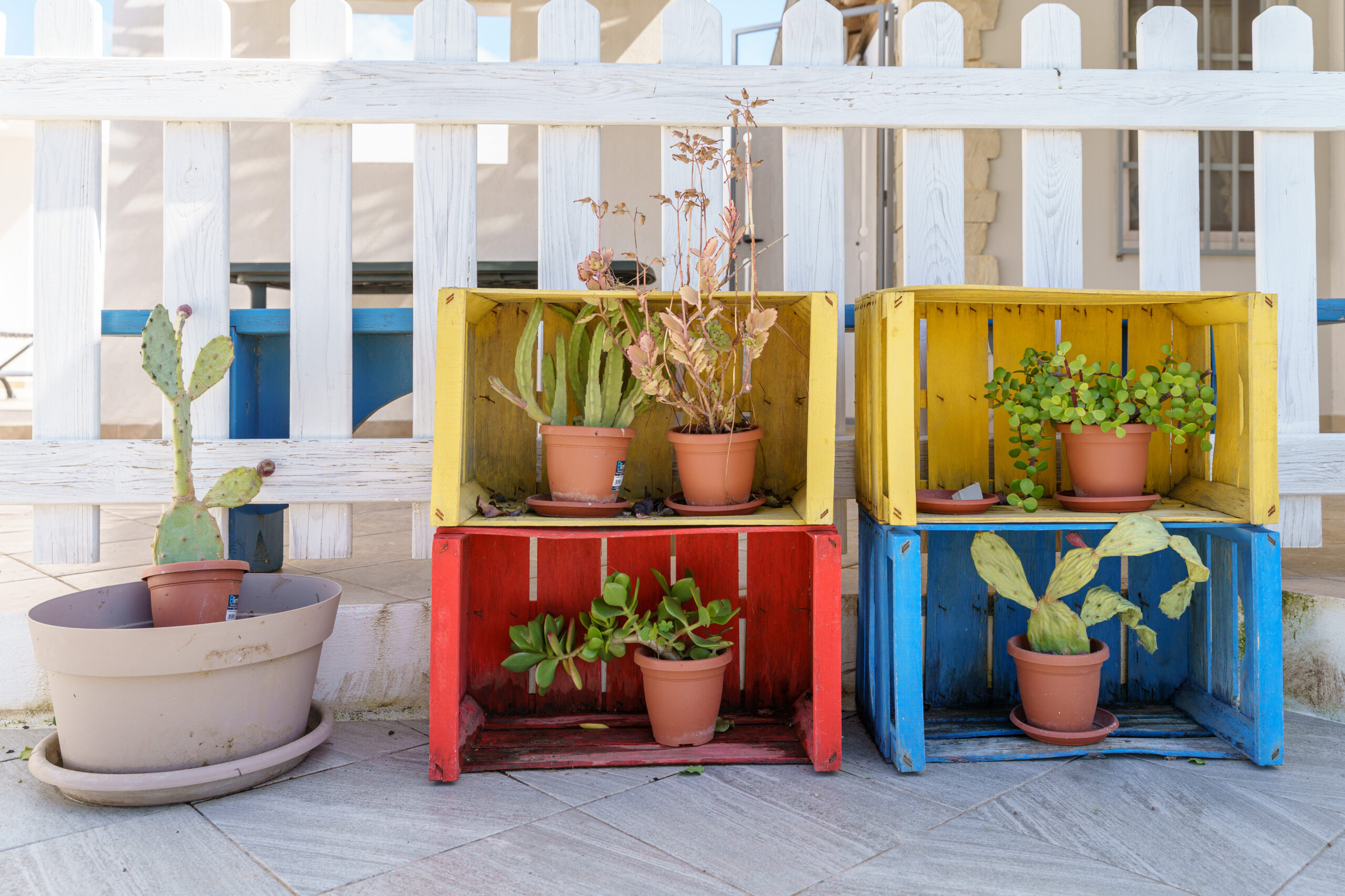 Dettaglio colorato degli esterni di BlueWindowHome